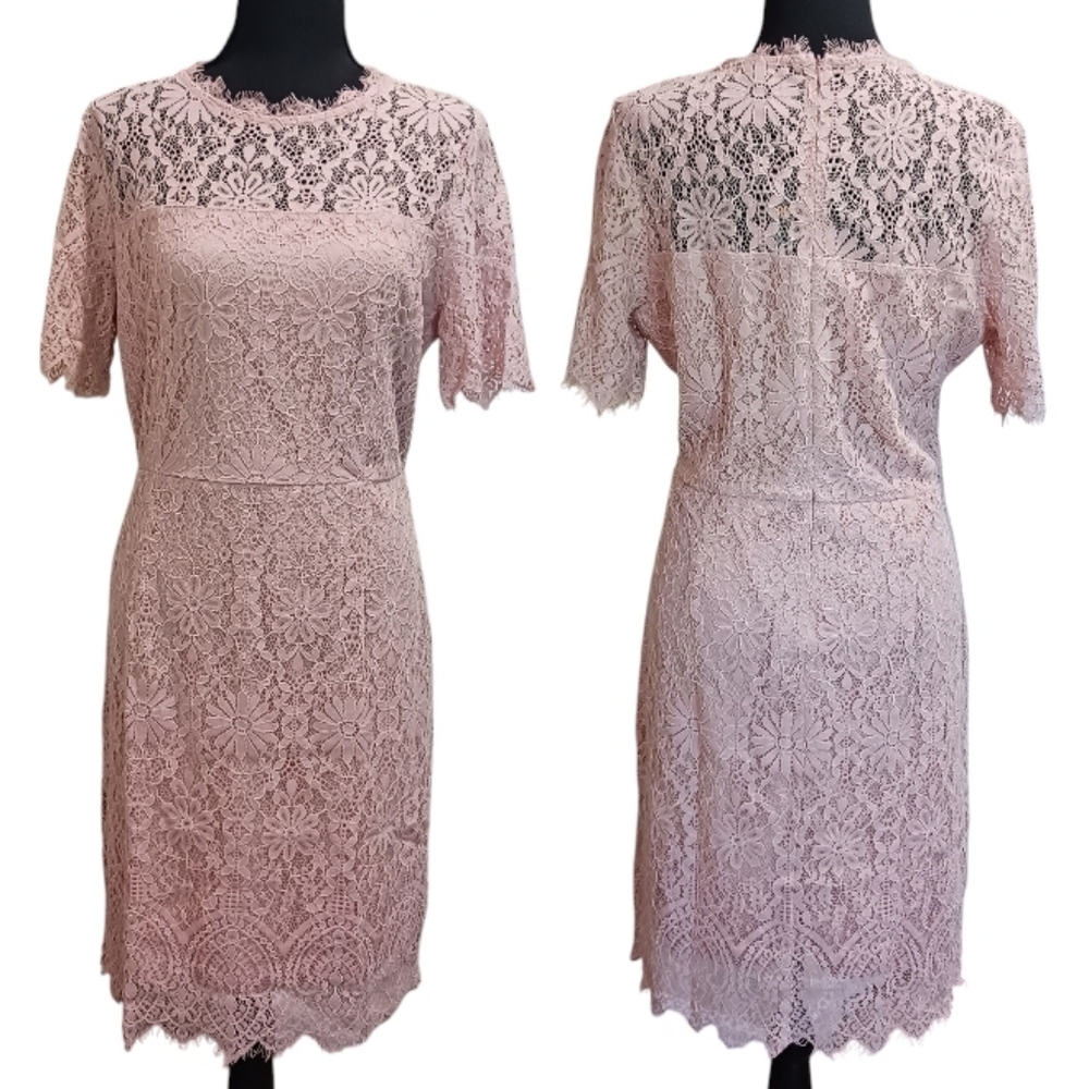Lace Sheath Cocktail Dress Blush Pink - Picture 2 of 11